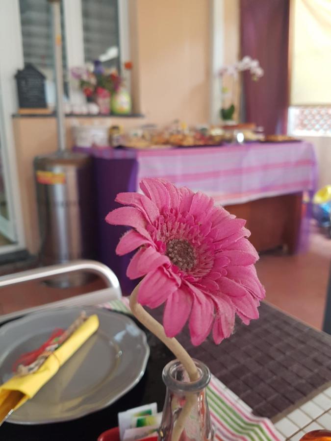 Ghiro Ghiotto Acomodação com café da manhã Pietra Ligure Exterior foto